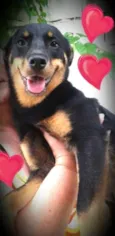 Julieta