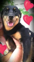 Julieta
