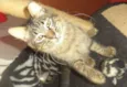 Léo