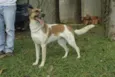 VIDINHA - Muito linda!