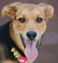 FRIDA - Uma paixão!