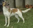VIDINHA - Muito linda!