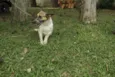 VIDINHA - Muito linda!