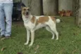VIDINHA - Muito linda!