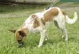 VIDINHA - Muito linda!