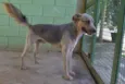 RUFFUS - um principe!  