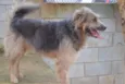 RUFFUS - um principe!  