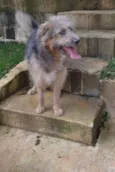 RUFFUS - um principe!