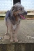 RUFFUS - um principe!  