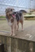 RUFFUS - um principe!