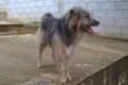 RUFFUS - um principe!  