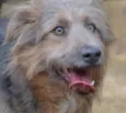 RUFFUS - um principe!  
