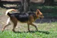 FRIDA - Uma paixão!