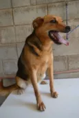 FRIDA - Uma paixão!