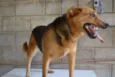 FRIDA - Uma paixão!
