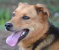 FRIDA - Uma paixão!