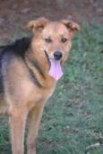 FRIDA - Uma paixão!
