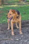FRIDA - Uma paixão!