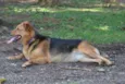 FRIDA - Uma paixão!