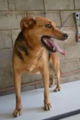 FRIDA - Uma paixão!