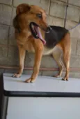 FRIDA - Uma paixão!