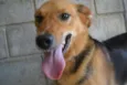 FRIDA - Uma paixão!
