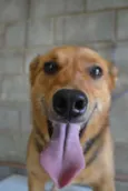 FRIDA - Uma paixão!