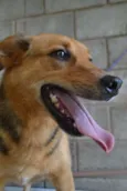 FRIDA - Uma paixão!