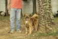 ZINGO- LINDO