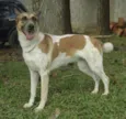 VIDINHA - Muito linda!