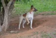 VIDINHA - Muito linda!