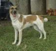 VIDINHA - Muito linda!
