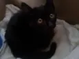 Sem nome
