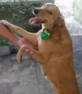Princesa