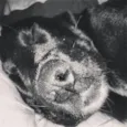 Matilda