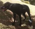 Matilda
