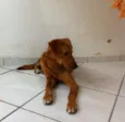 Fred