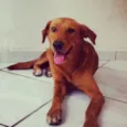 Fred