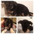 Lila