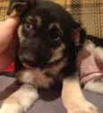 Lila