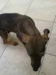 Malu