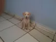 Tony
