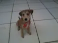Tony