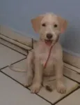 Tony