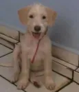 Peppa