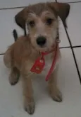 Tony