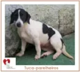 TUCA