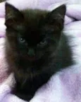 Rubi