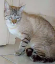 Prince