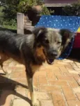 Bob